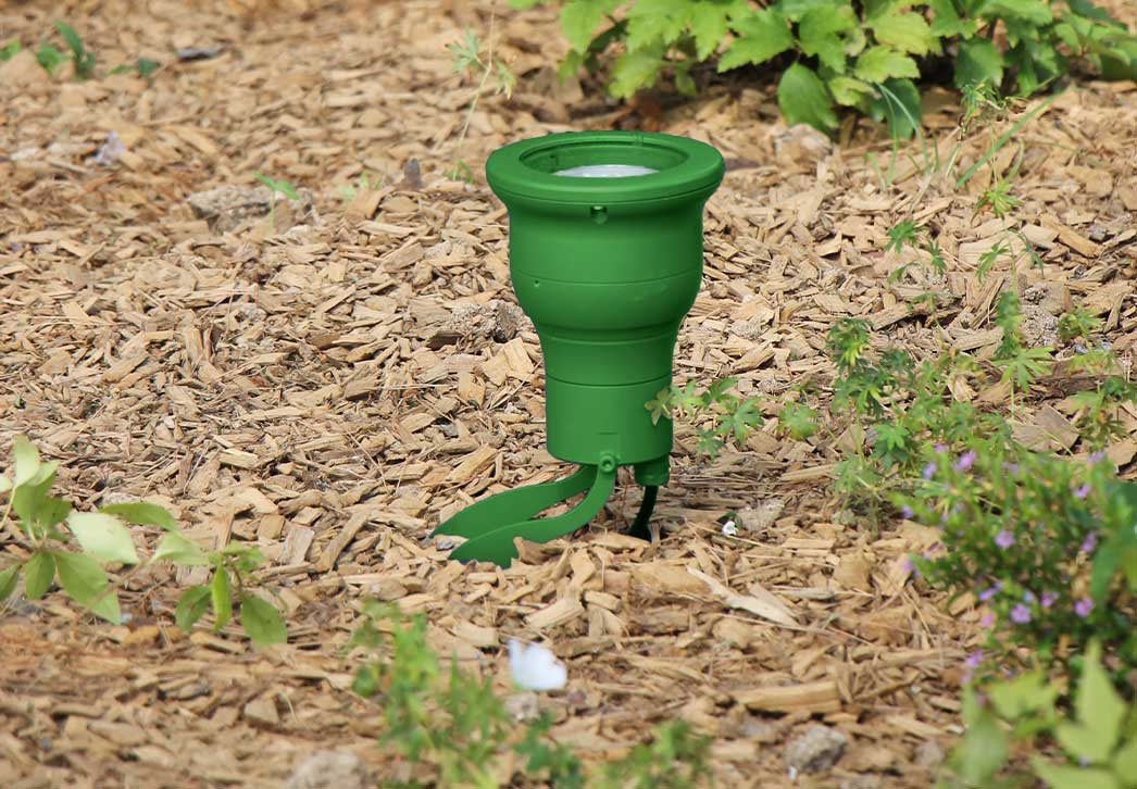 Madame Steel projecteur sur lyre Fusion finition vert texturé