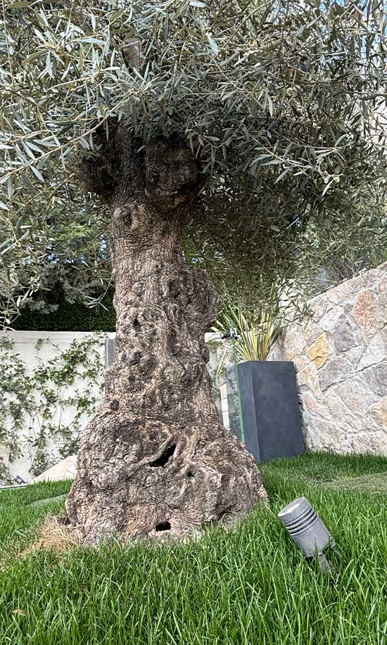 Madame Steel réalisation d'un Minilight.